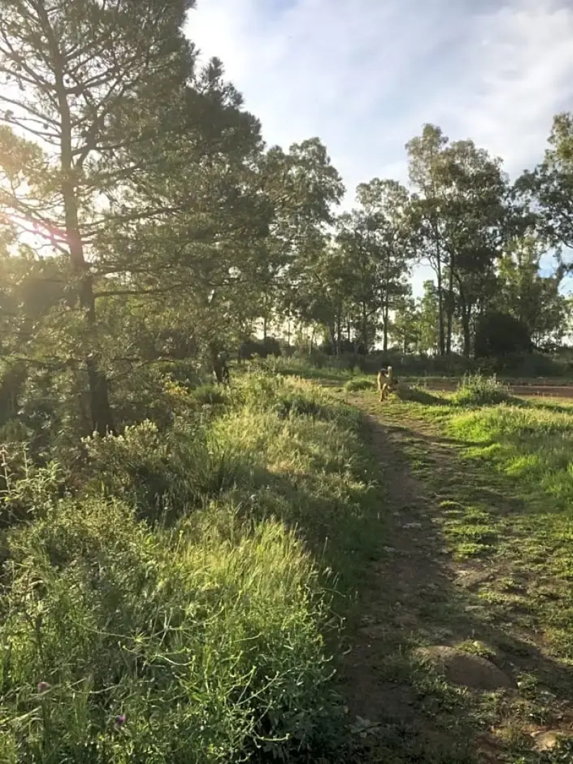 Romantic Private Cabin