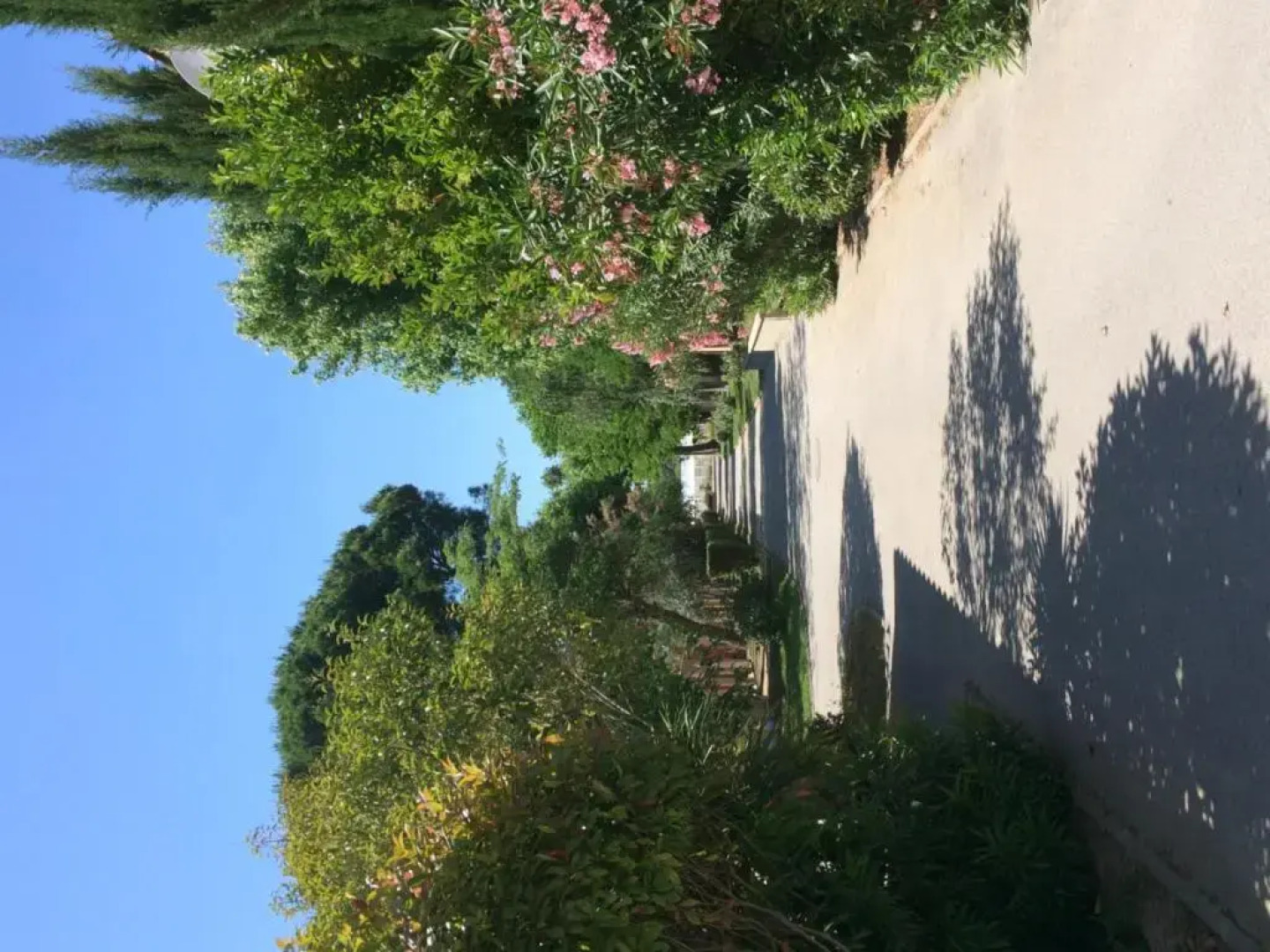 LHôtel du Méditerranée