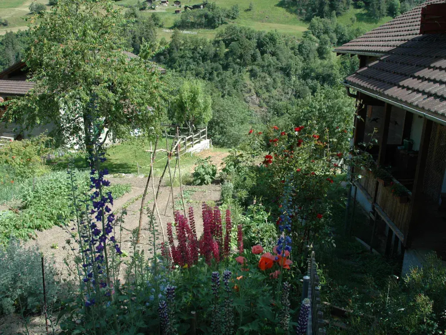 Charming Chalet Near Trails