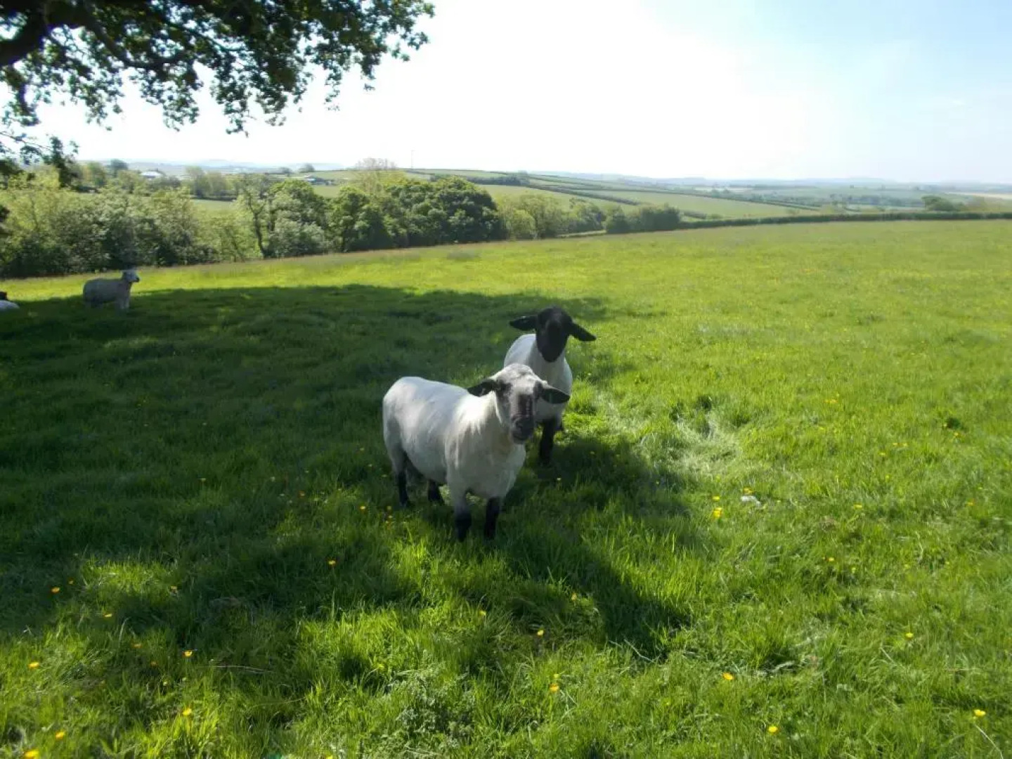 The Barn At Collacott