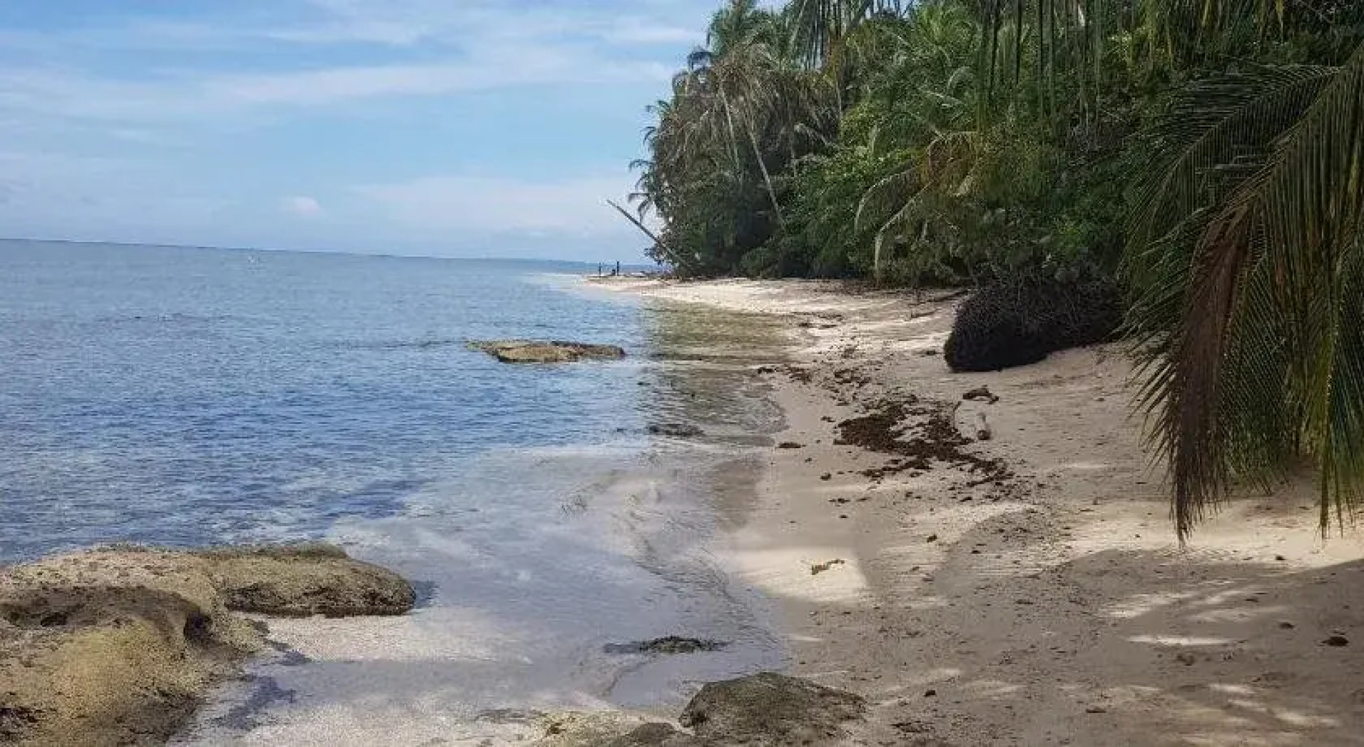 Ciudad Pérdida Ecolodge
