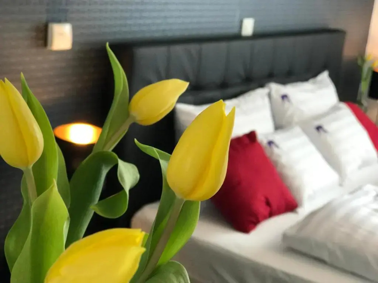 Ciprus Porta Apartmanok