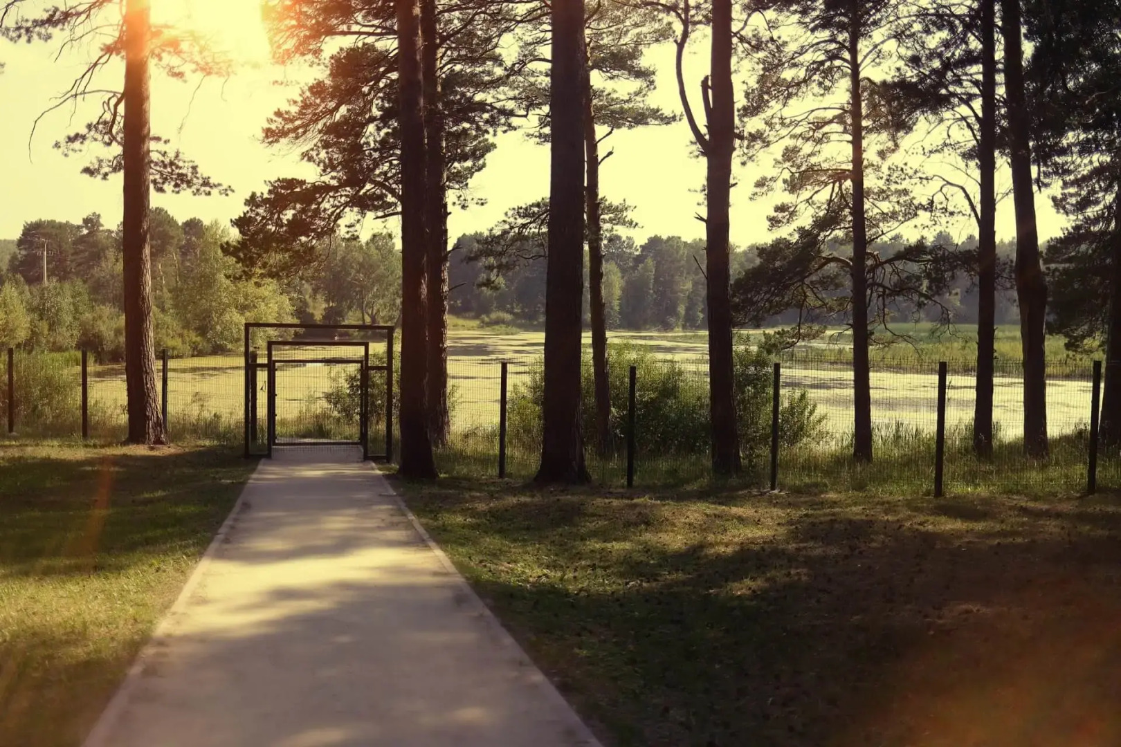 Сибирская здравница