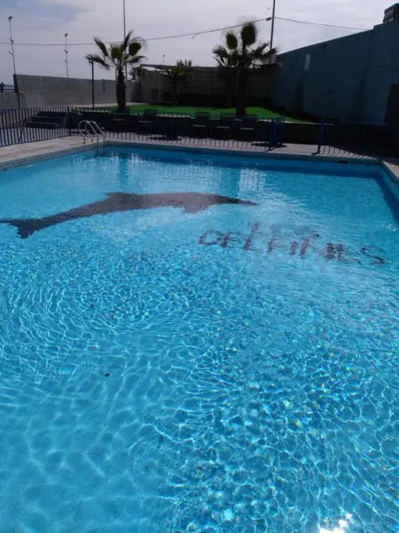 Departamento Los Delfines