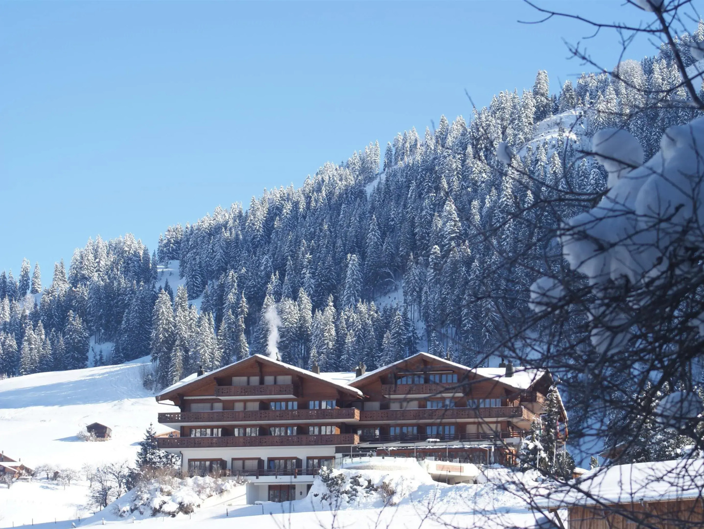 Hotel Le Grand Chalet Gstaad