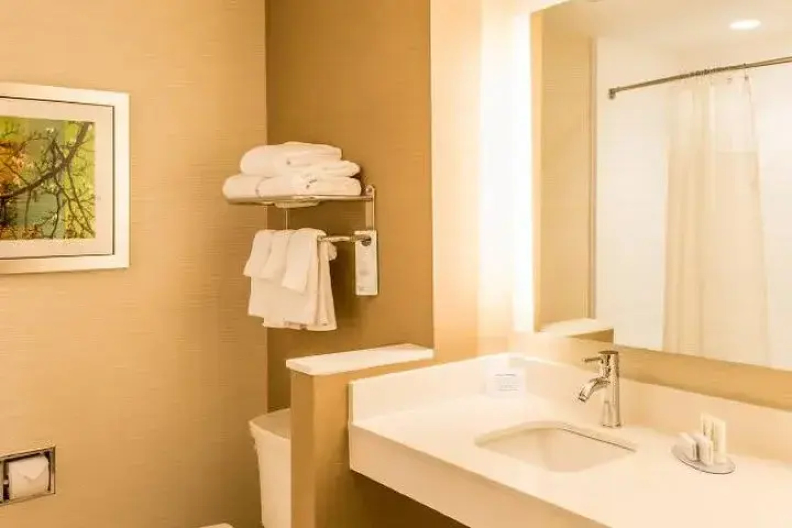 Fairfield Inn & Suites Atlanta Fairburn