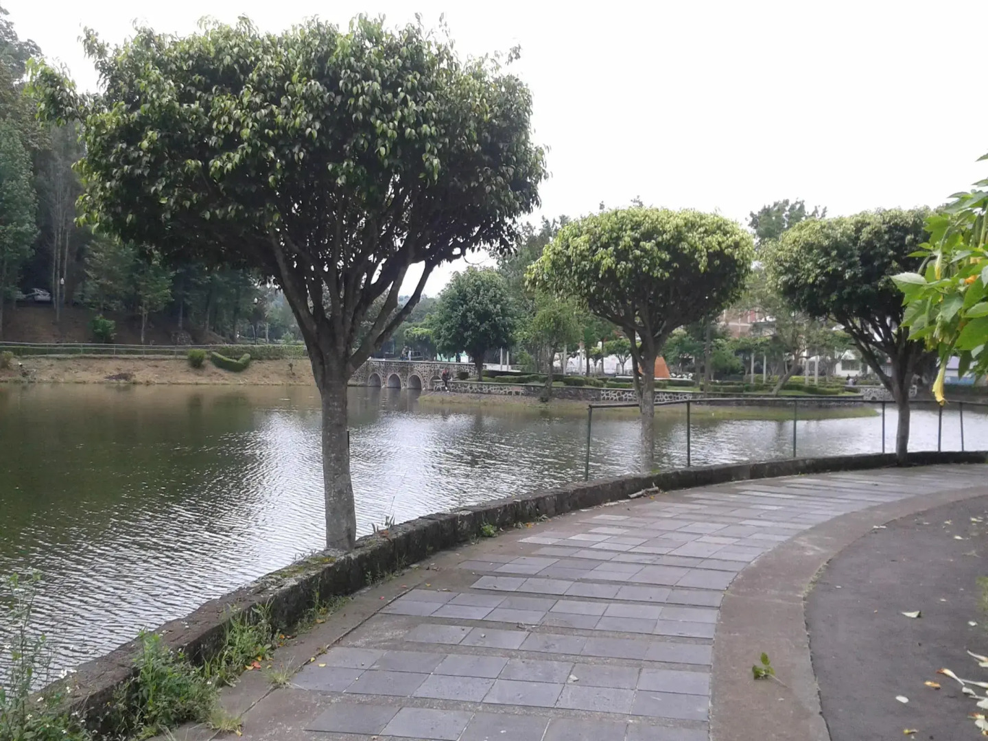 Mision Express los Lagos