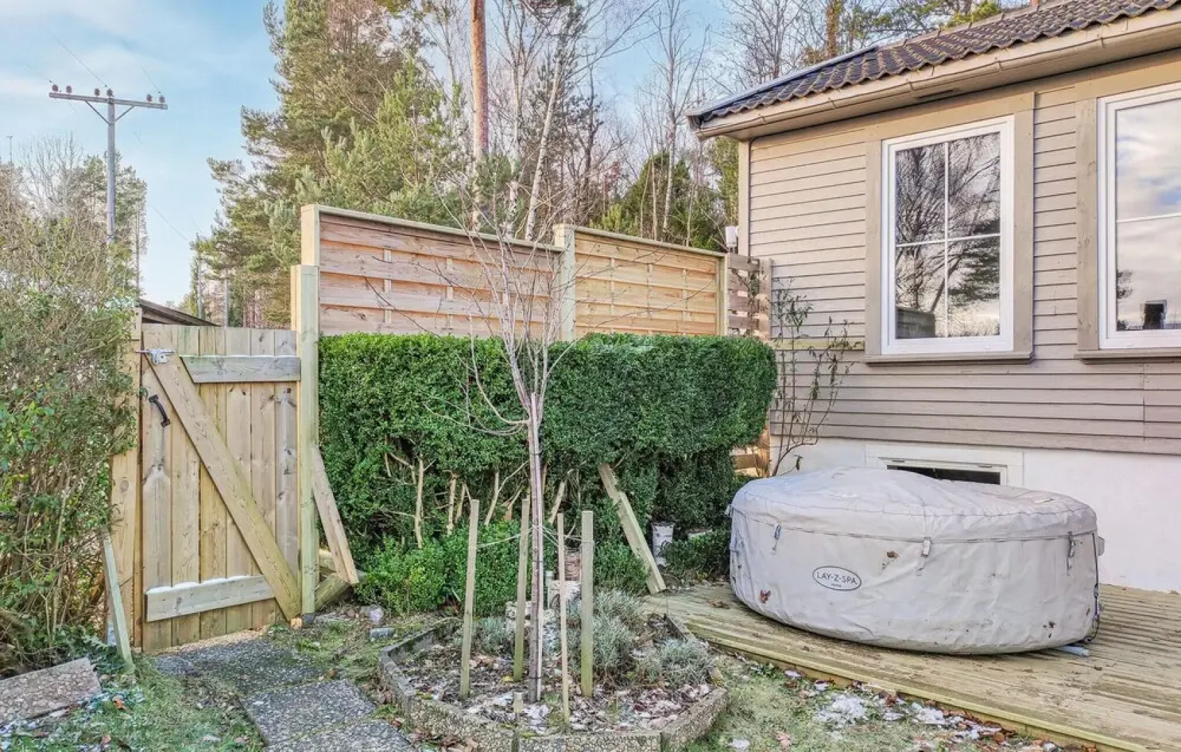 The Woodpecker Cottage Tree