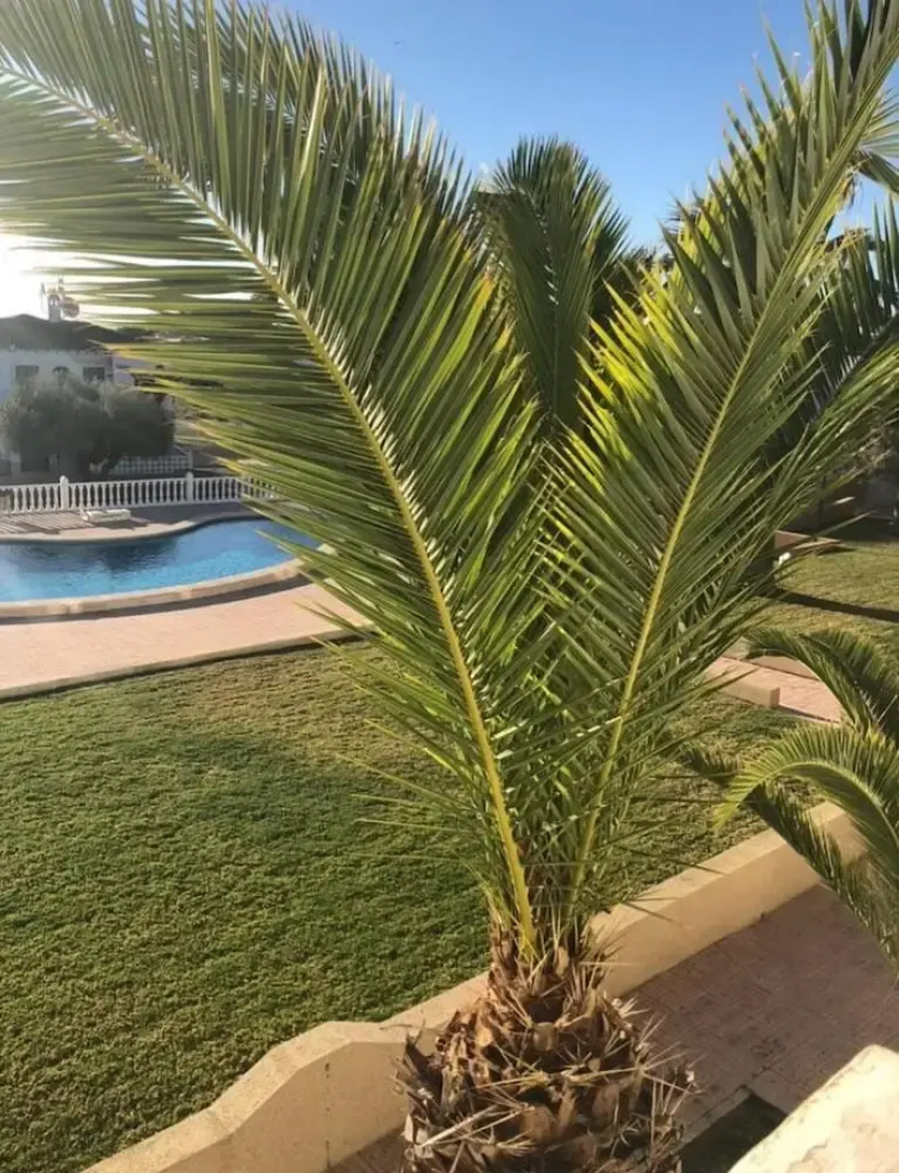 Immaculate 1-bed Apartment in Villamartin
