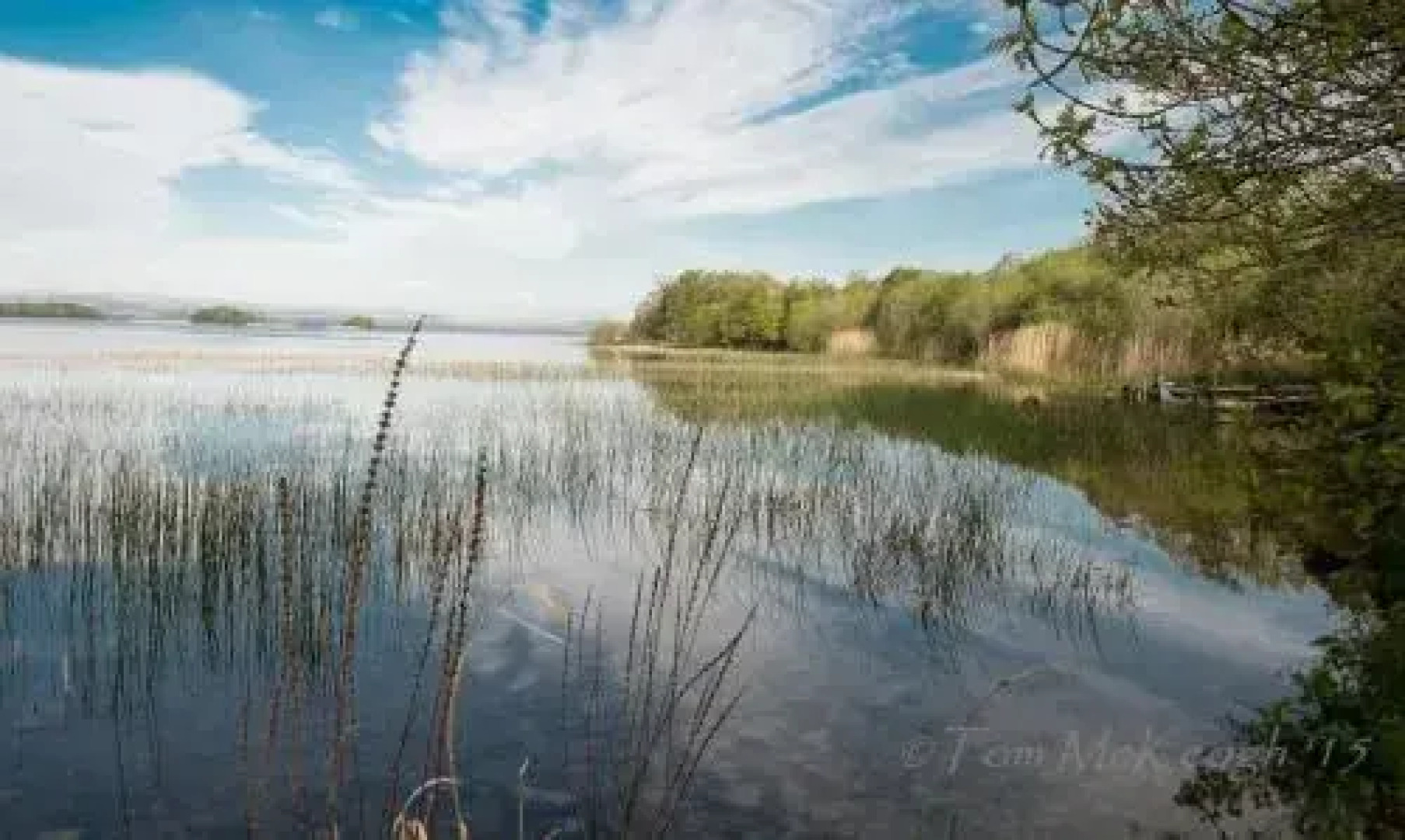 Willowbrook Bed & Breakfast