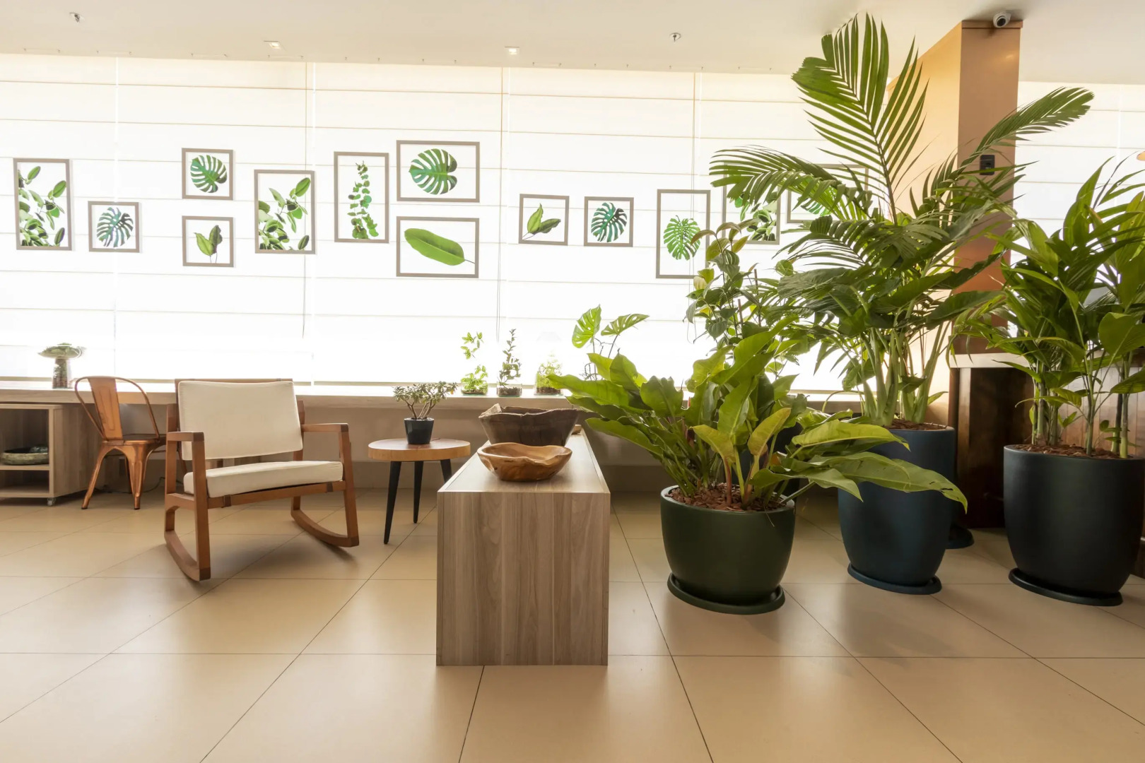 ibis Styles Curitiba Aeroporto