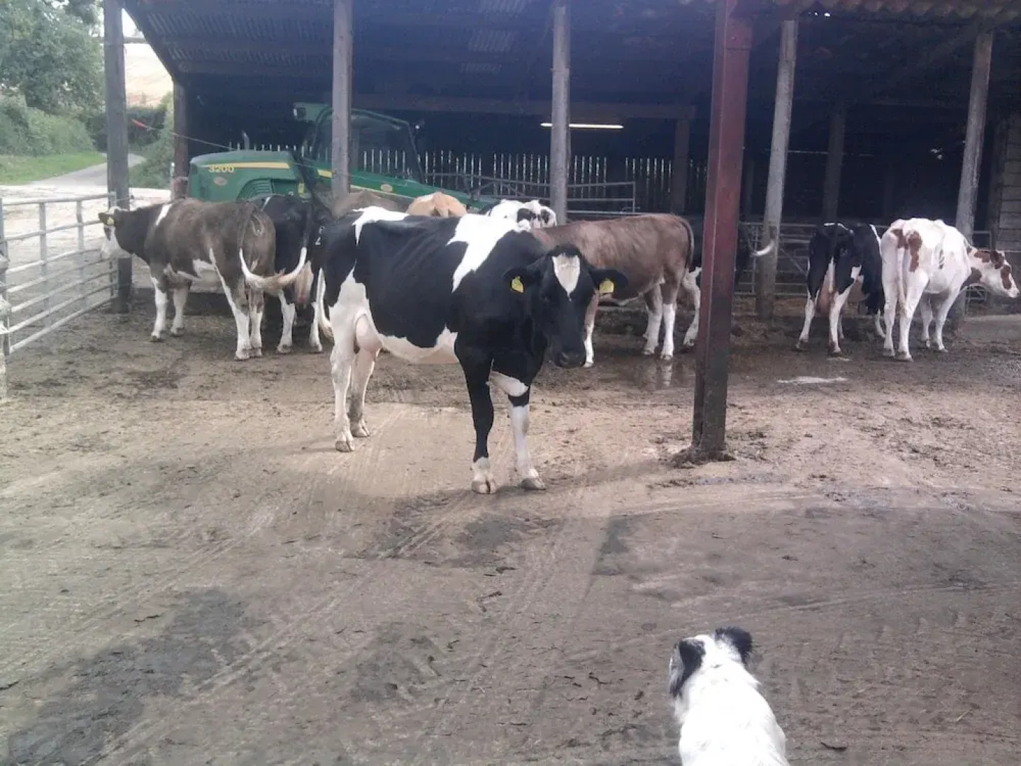 Higher Bruckland Farmhouse B&B