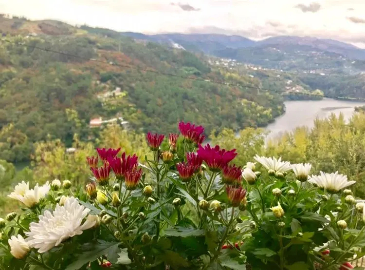 Pedacinho de Mundo Douro