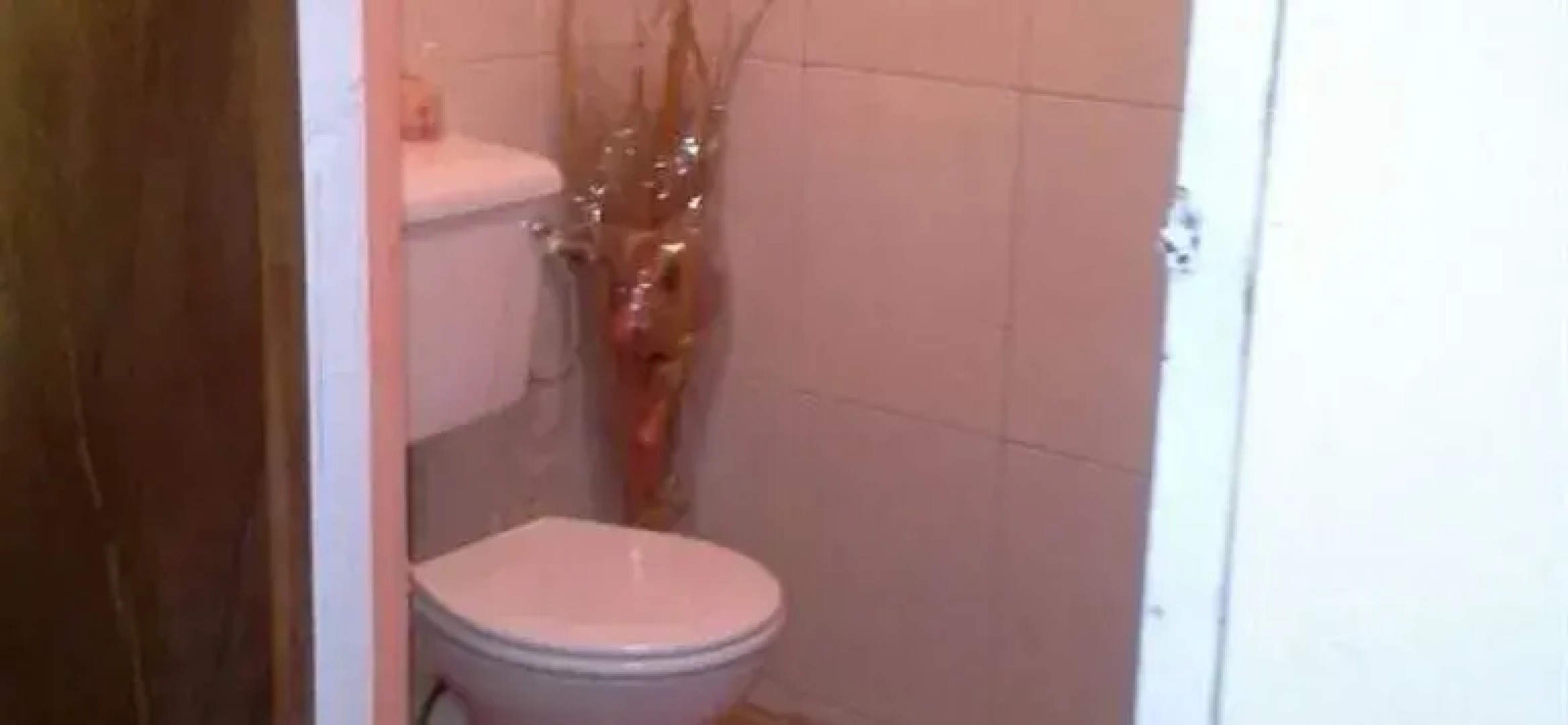 Noon's Accommodation