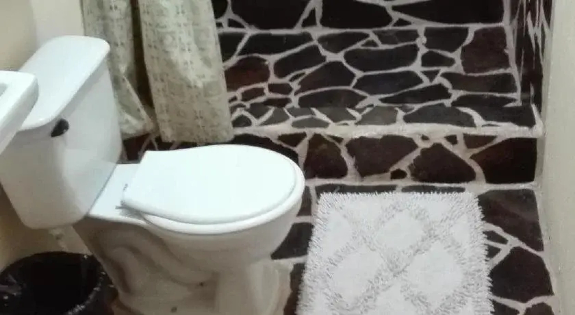 Cabinas Pura Vida Bed & Breakfast