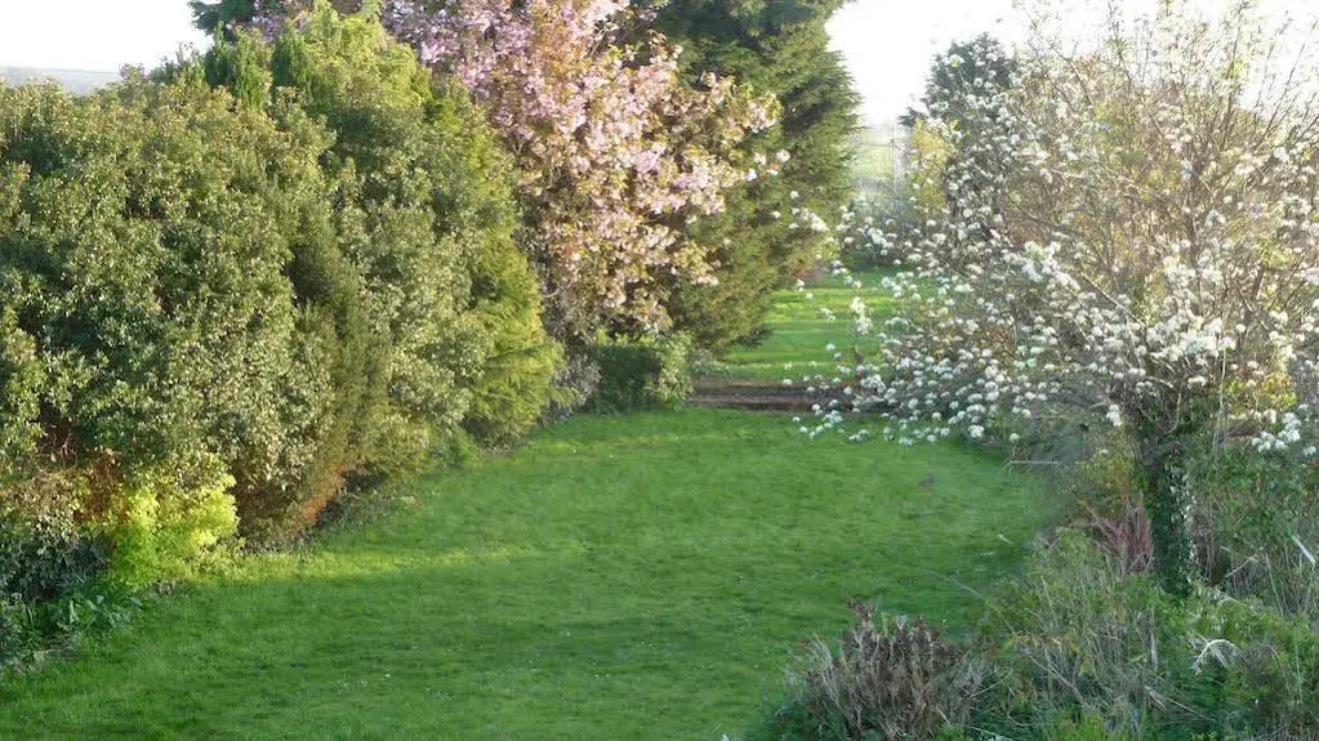 White Horse Guesthouse