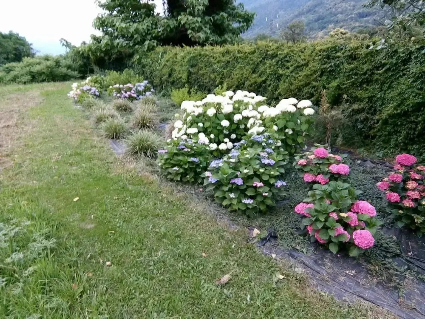 Agriturismo Roncadizza Lumaghera