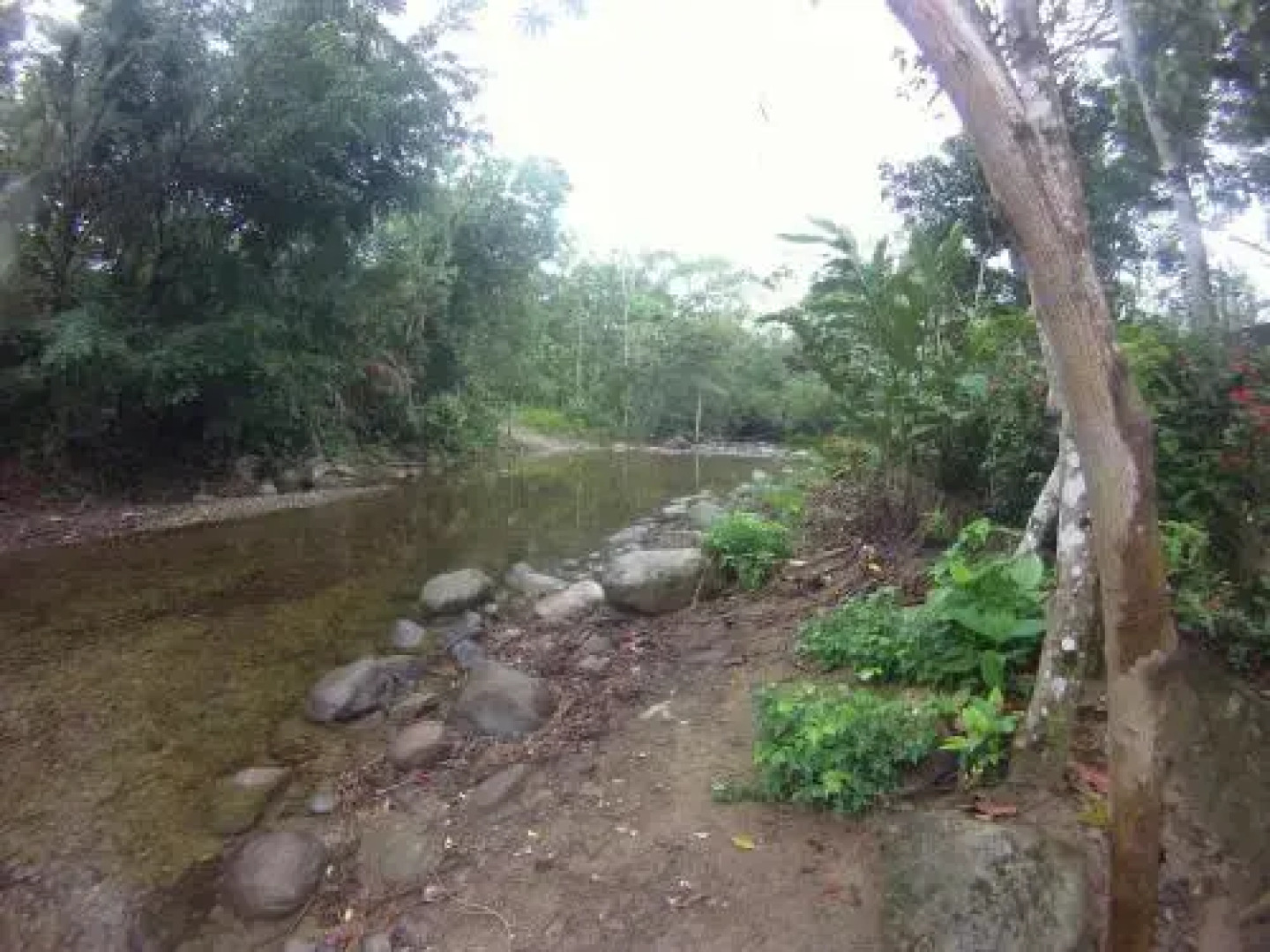 Ecoparque Agua Selva