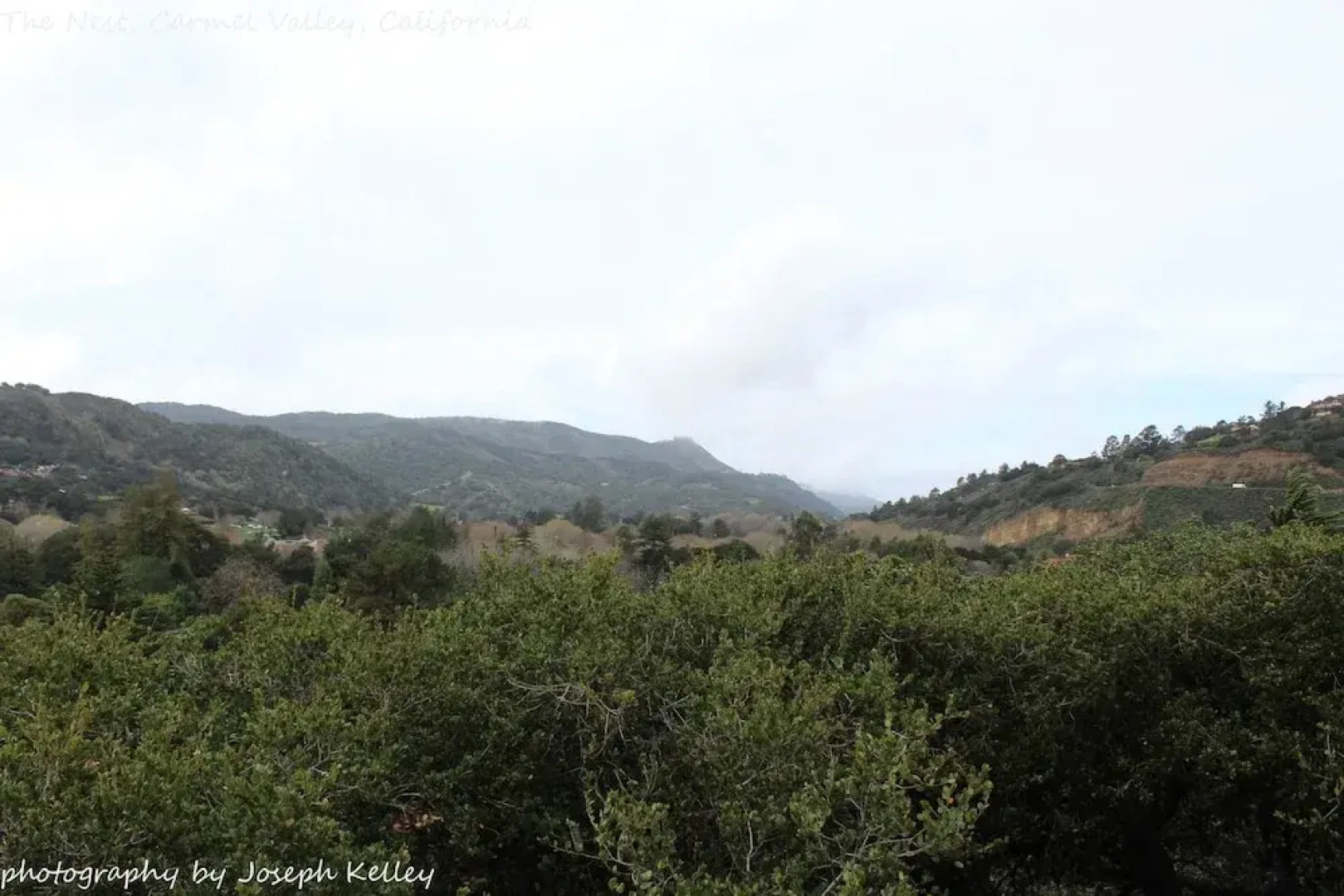The Nest in Carmel Valley