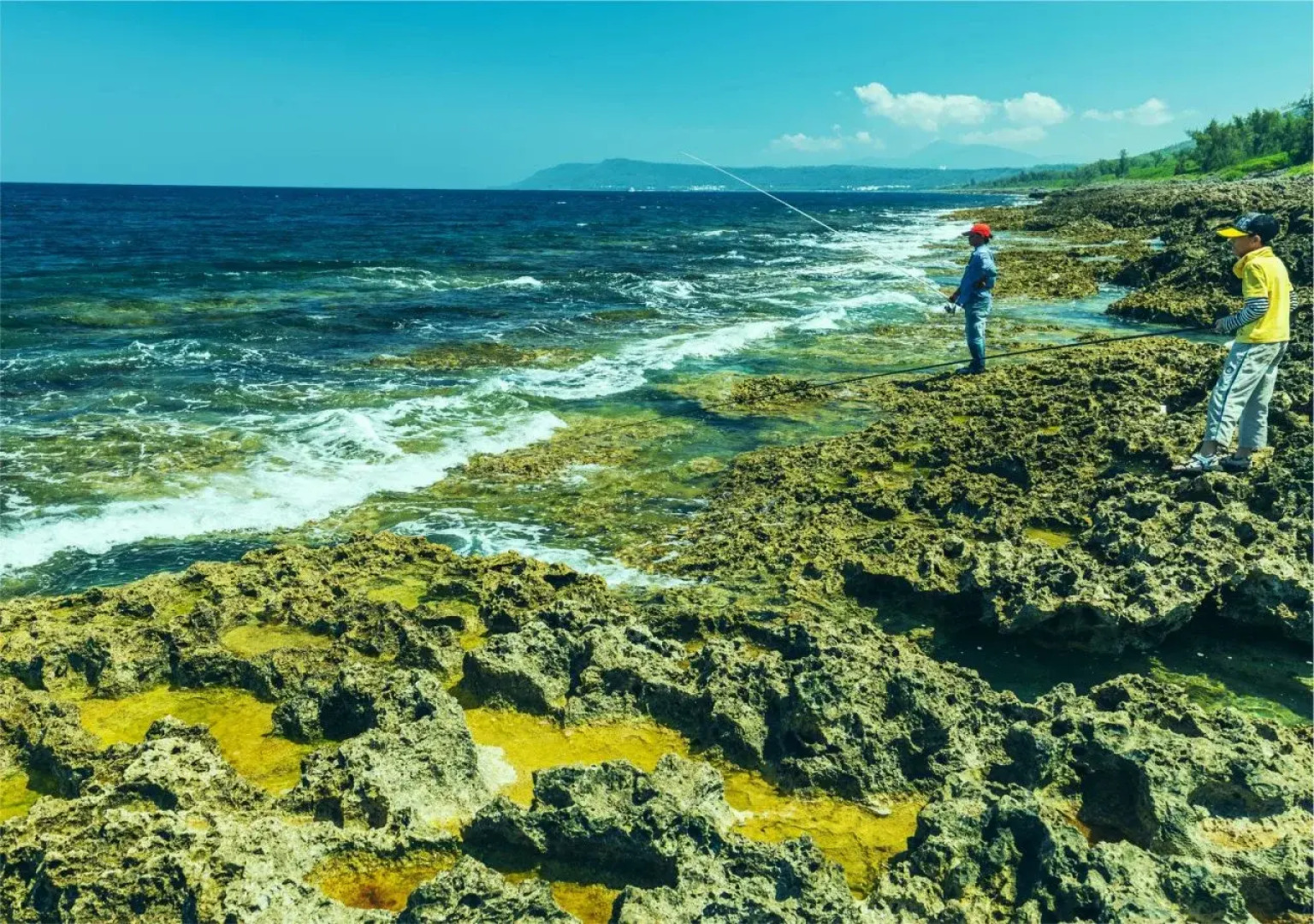 Bay Forest Boutique Hotel