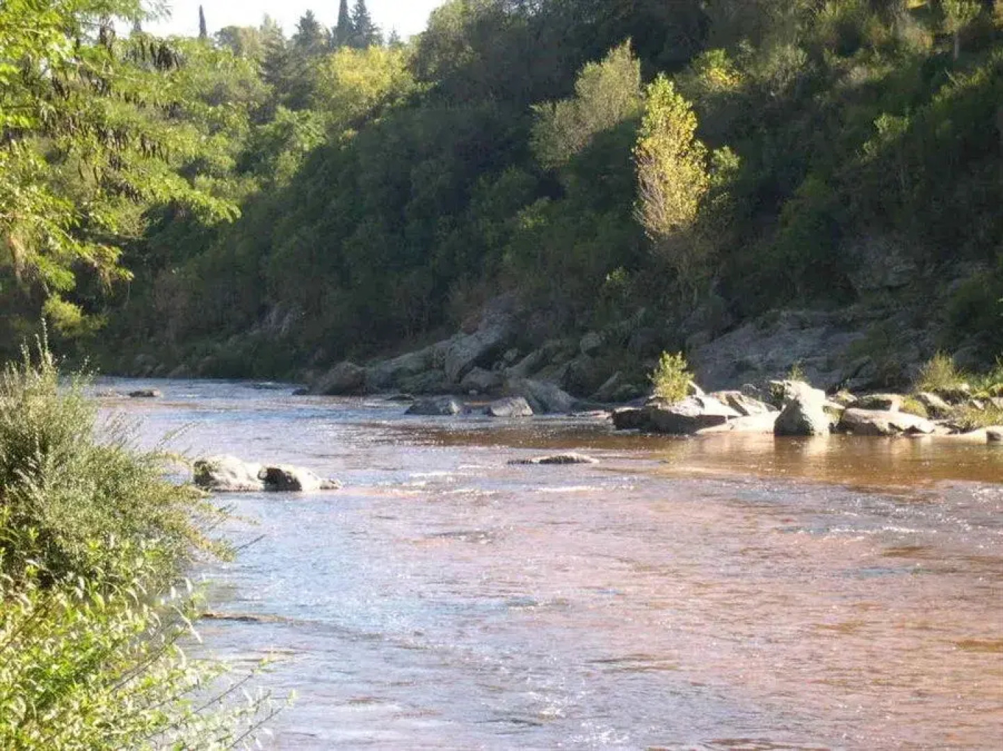 Red Beans Spa & Resort