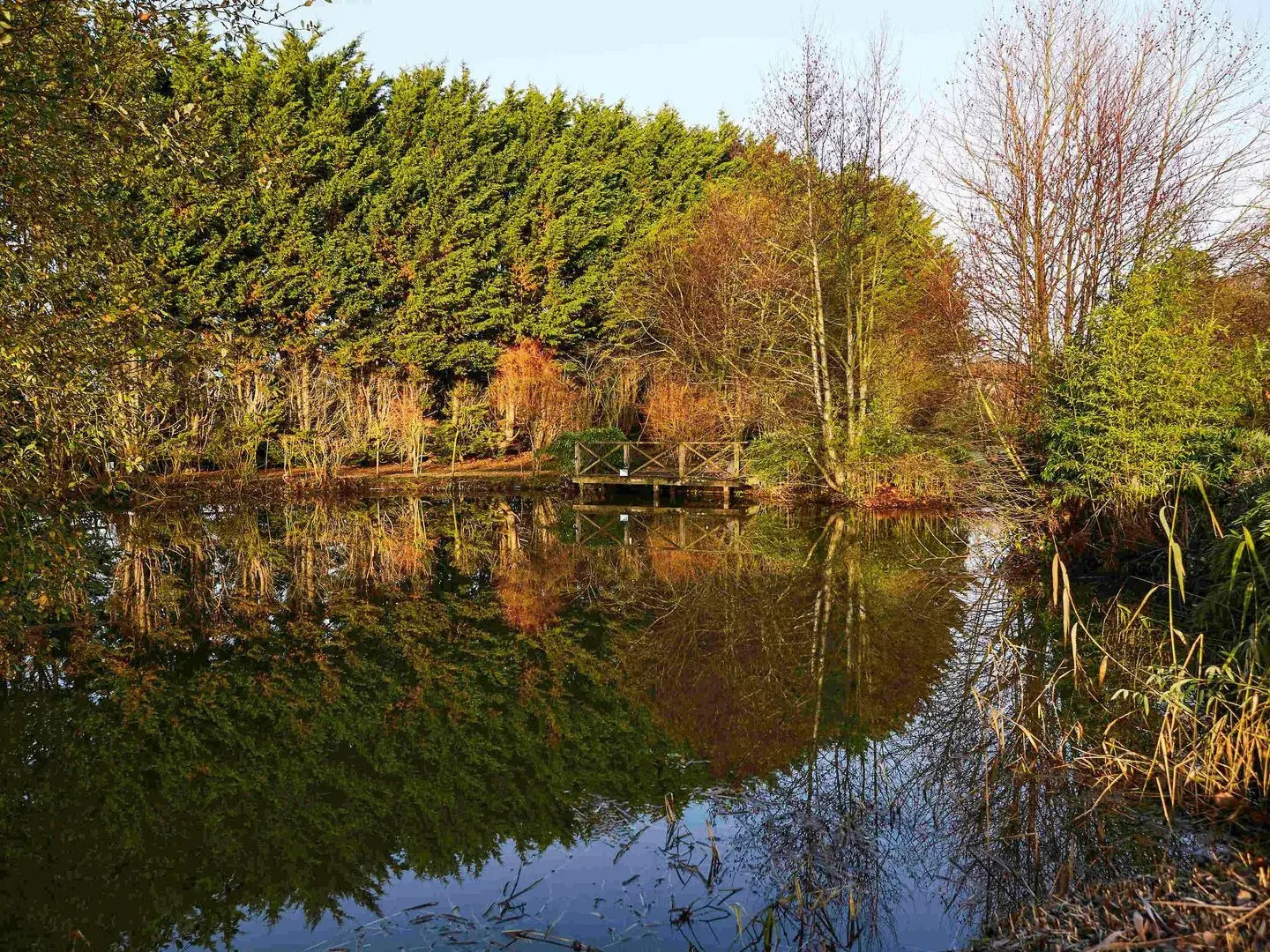 Mercure Newbury West Grange Hotel