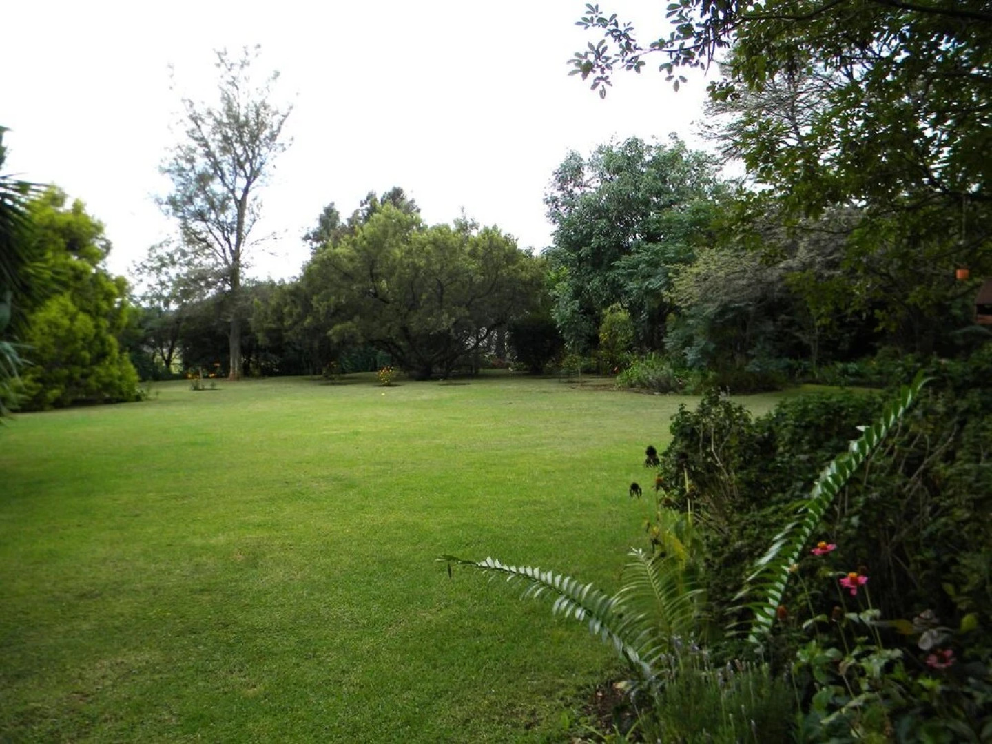 Ruimsig Golf View Manor and Conference Centre