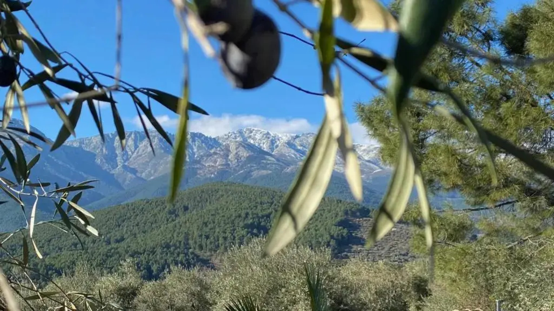 Casa Rural Olivar de Gredos Entorno privilegiado con vistas de ensueño