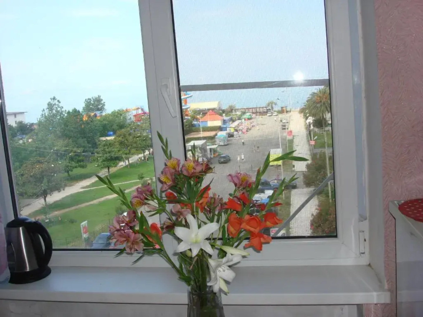 Apartment na Abazgaa 49/1