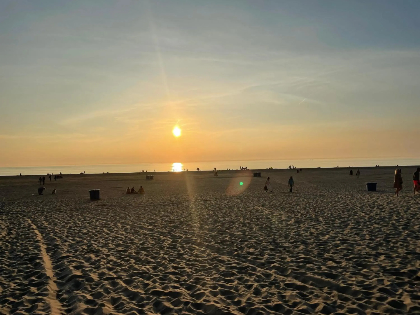 The Forester Schoorl