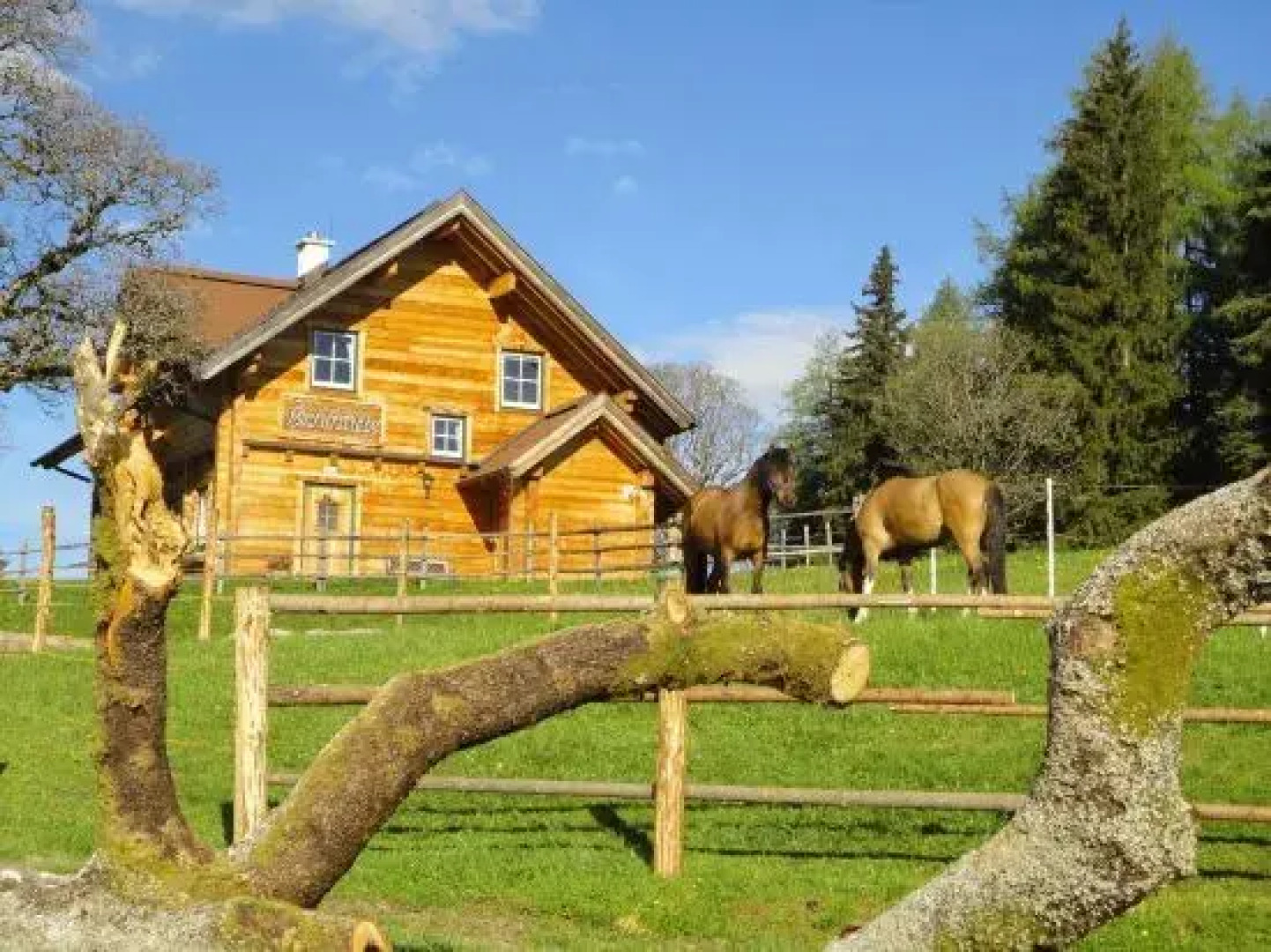 Ferienhaus Bichlhütte
