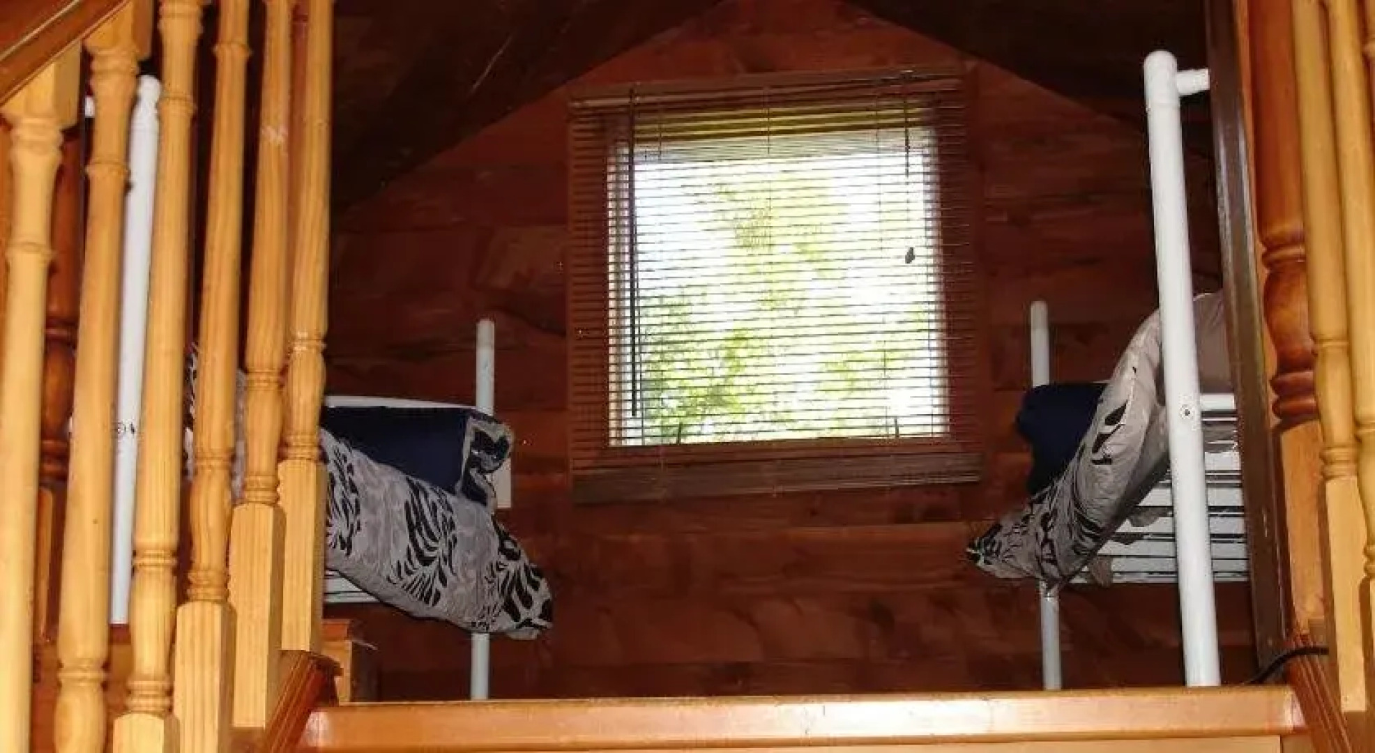 Alpine Holiday Apartments & Campground