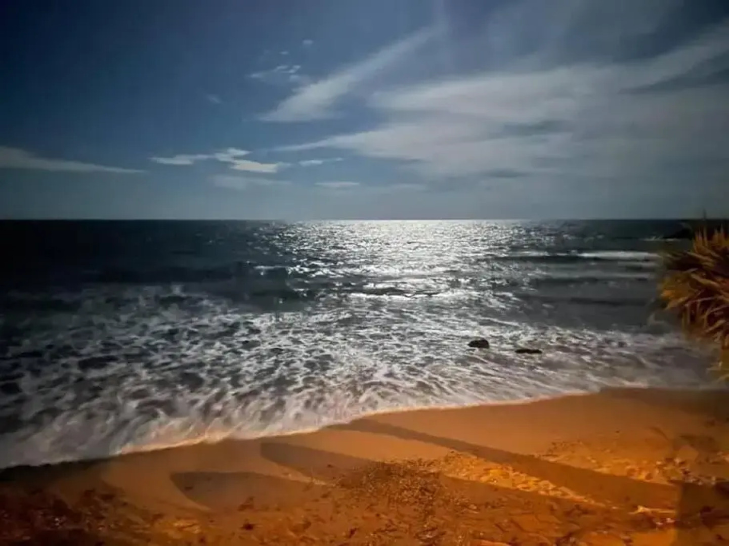 Ground Floor Luxury Oceanfront Apartment