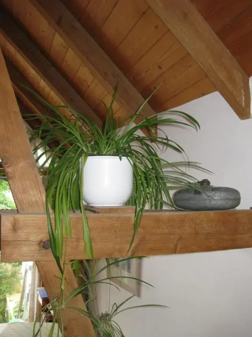 Apartments Bed & Breakfast Brückner