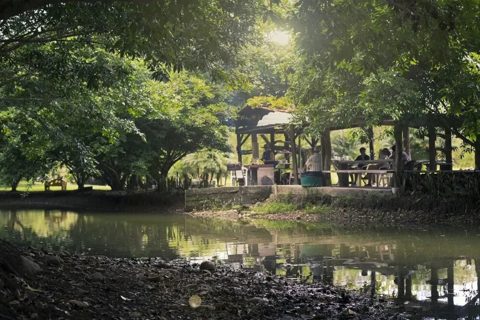 Hotel & Canopy La Hacienda