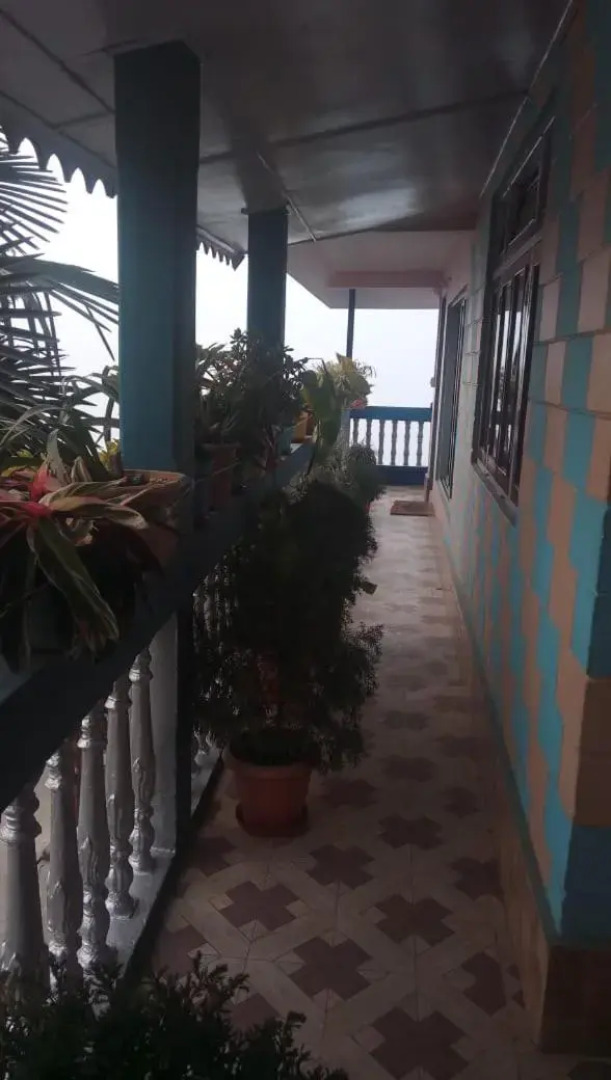 Vamoose Sanjeema Tea Estate Homestay