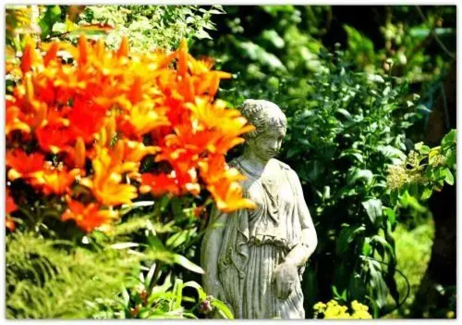 Willowbrook Bed & Breakfast