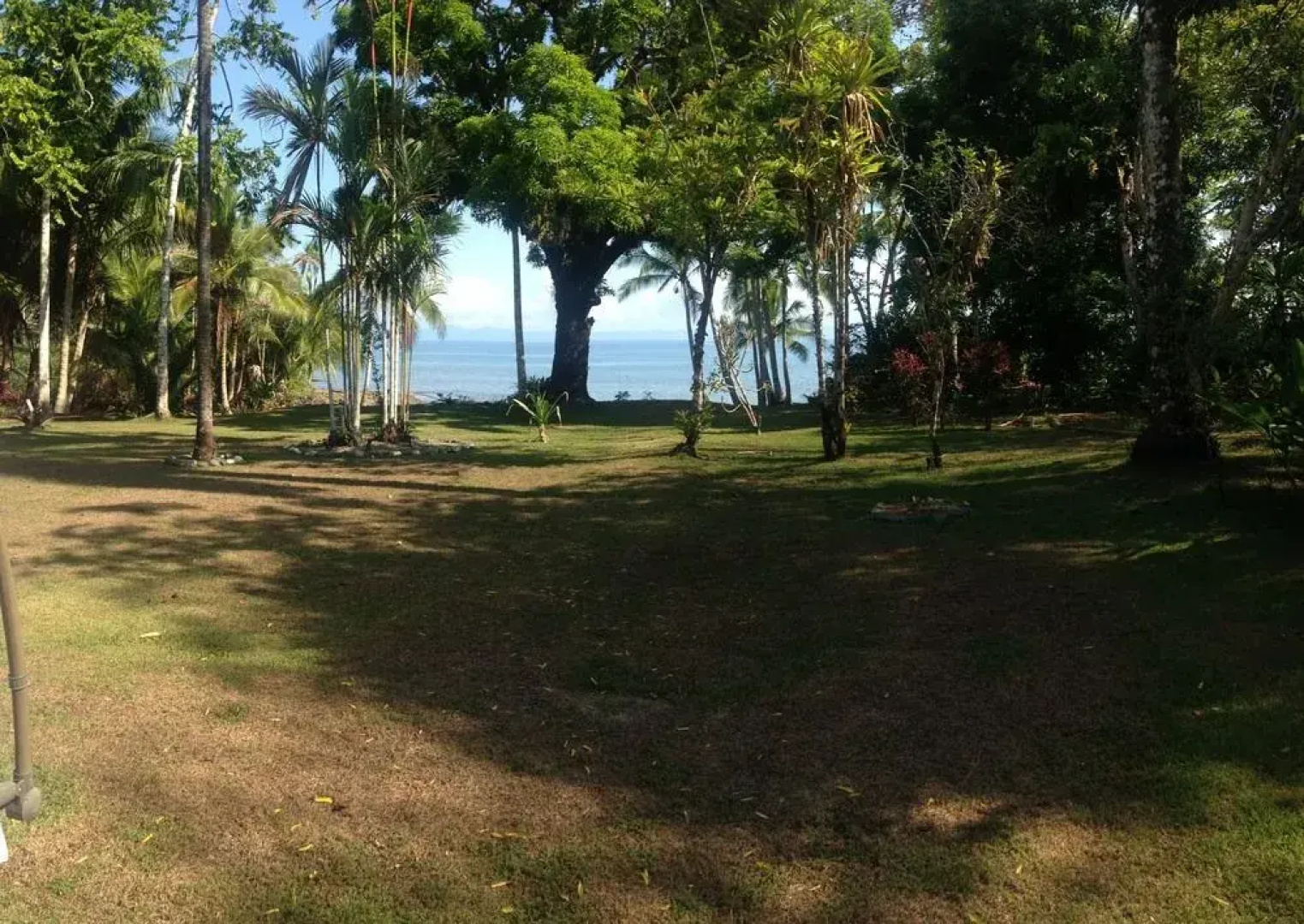 The Whale Resort