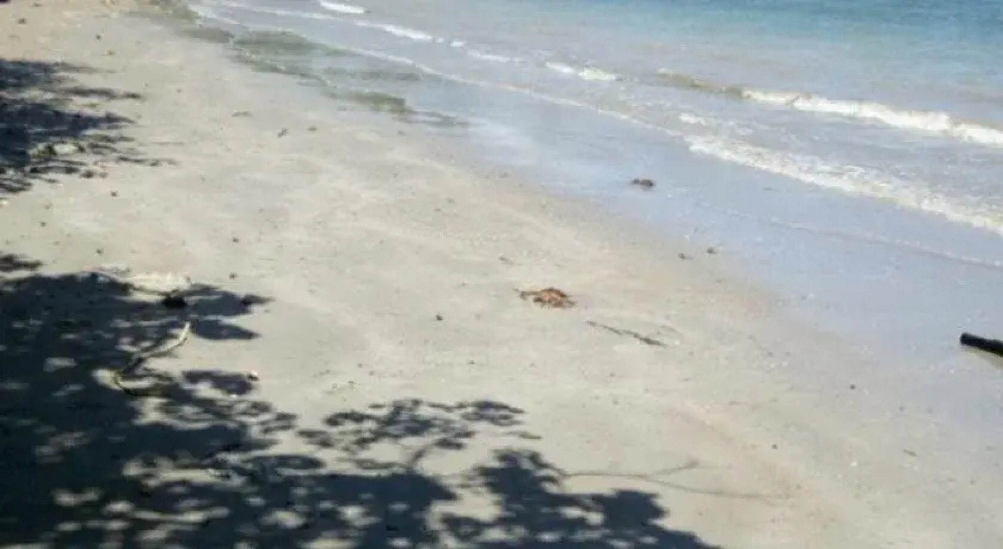 Hacienda de la Bahia