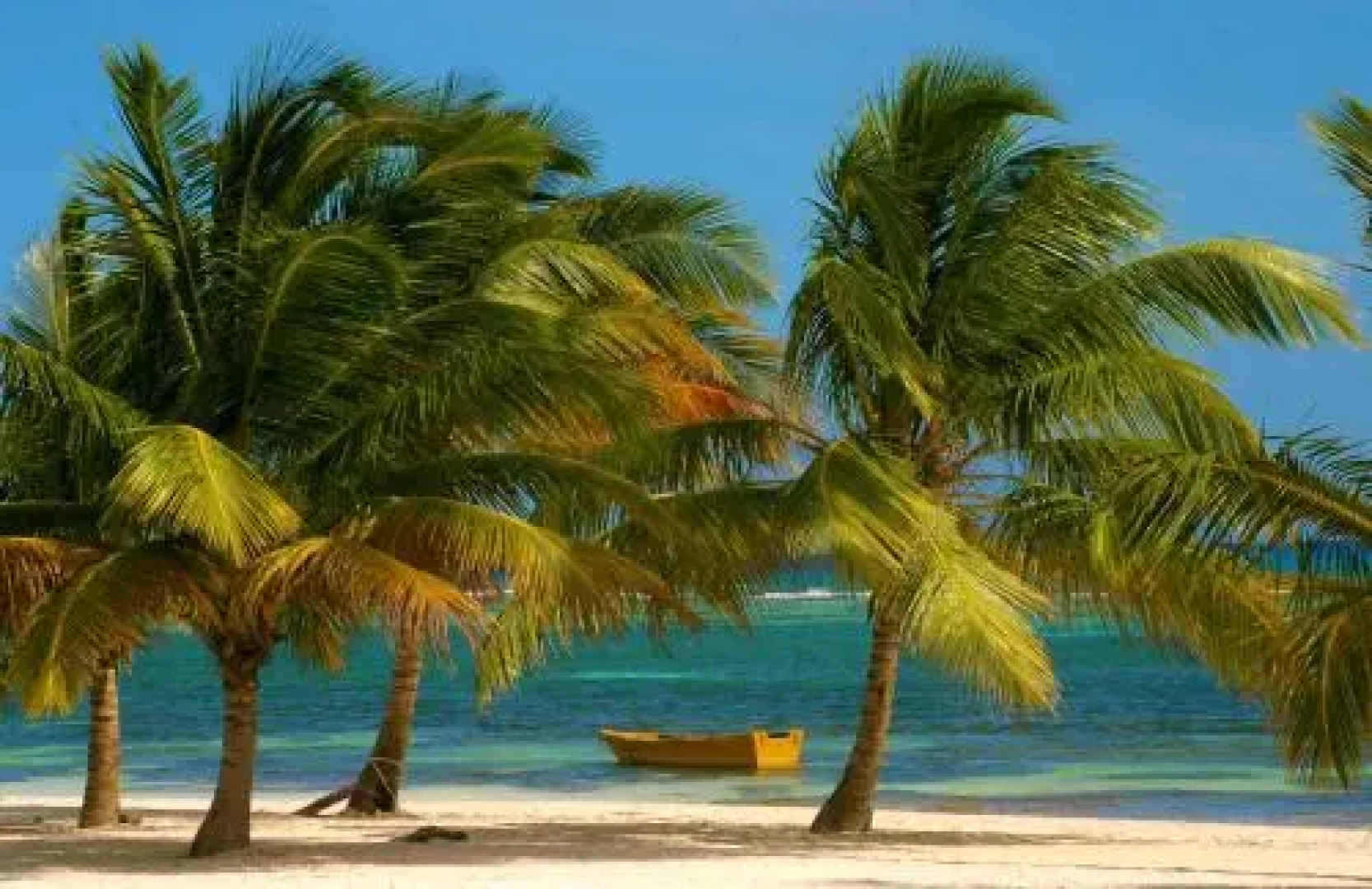 Bayahibe Guest House Hotel  Apartments