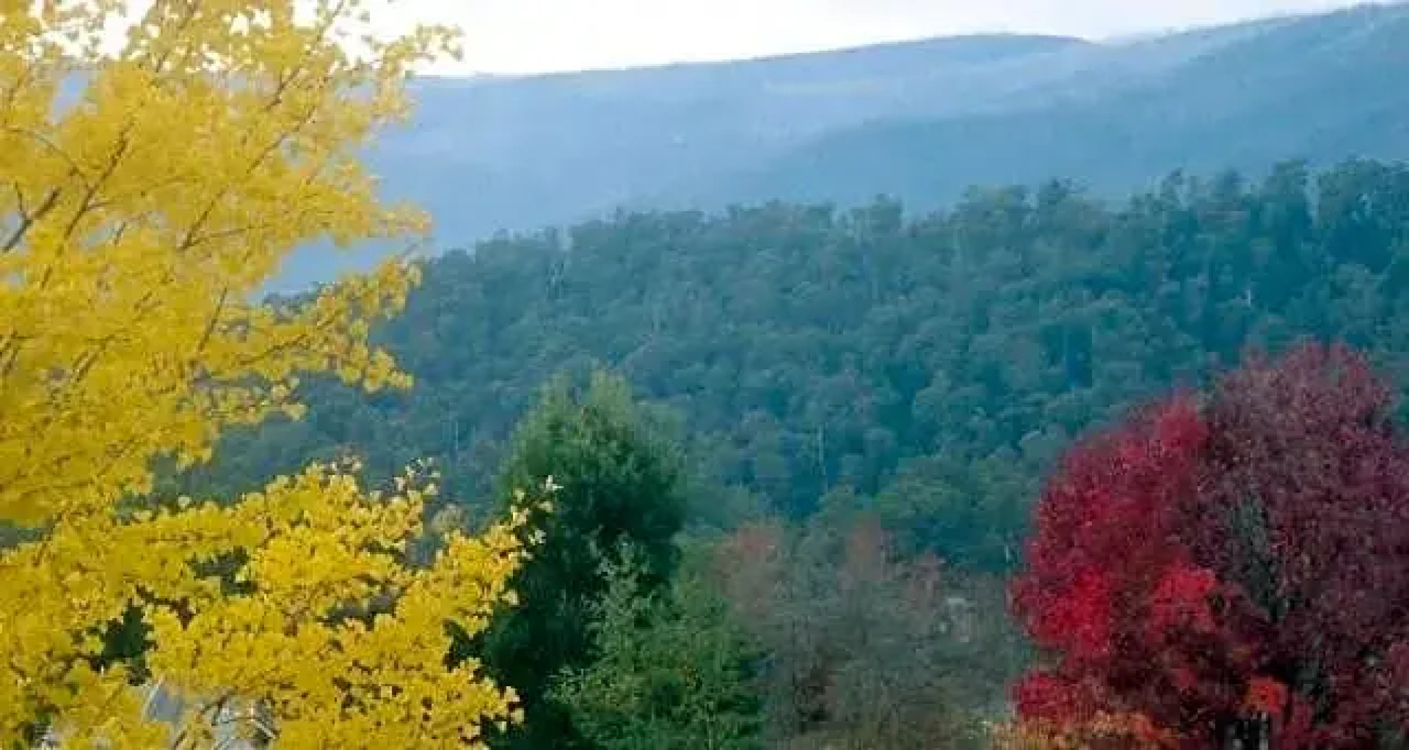 Goldberryaccommodation