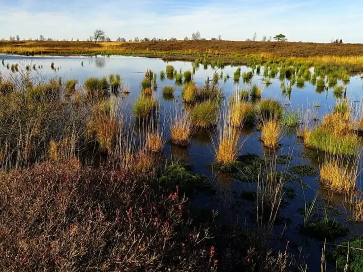 Holiday Home Altes Zollhaus No. 19