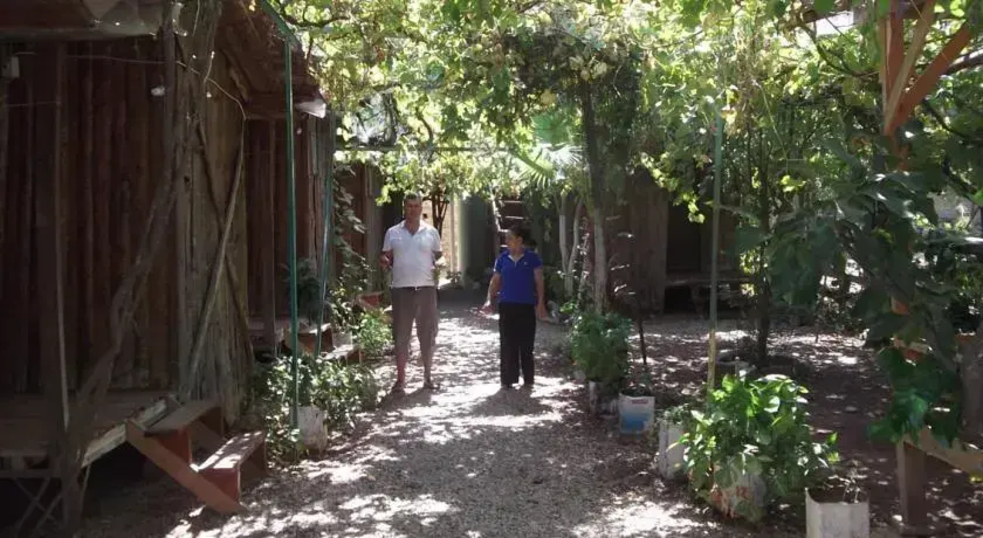 Aşık Pansiyon