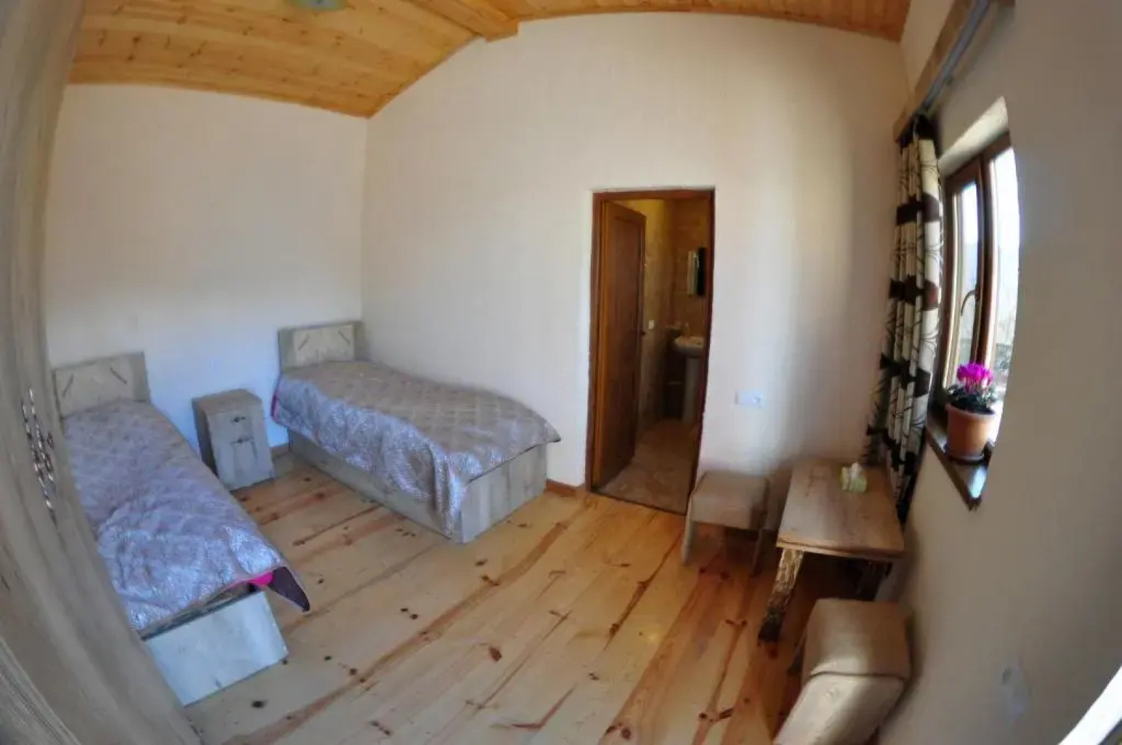 Saro B&B And Safari Tours