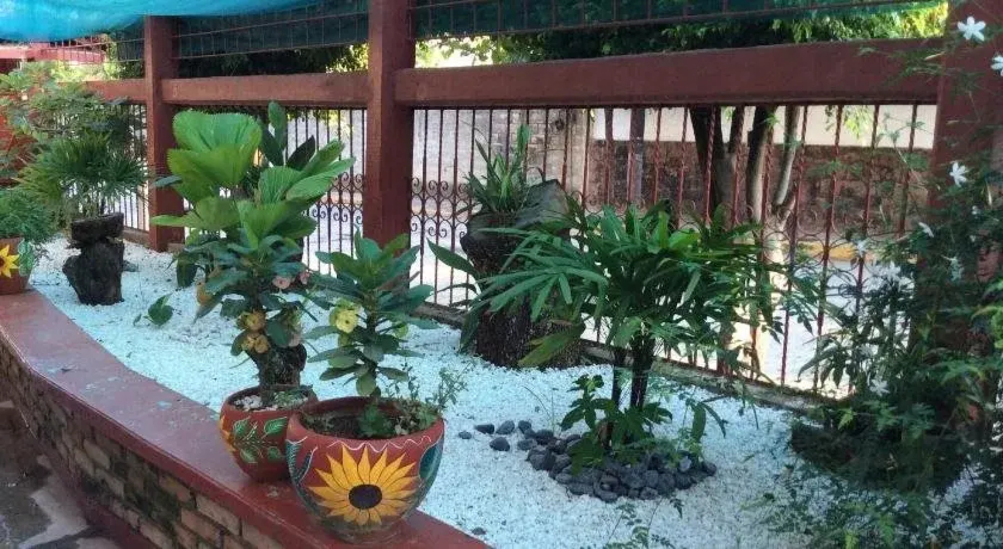 Hotel La Mansion del Viejo Roble