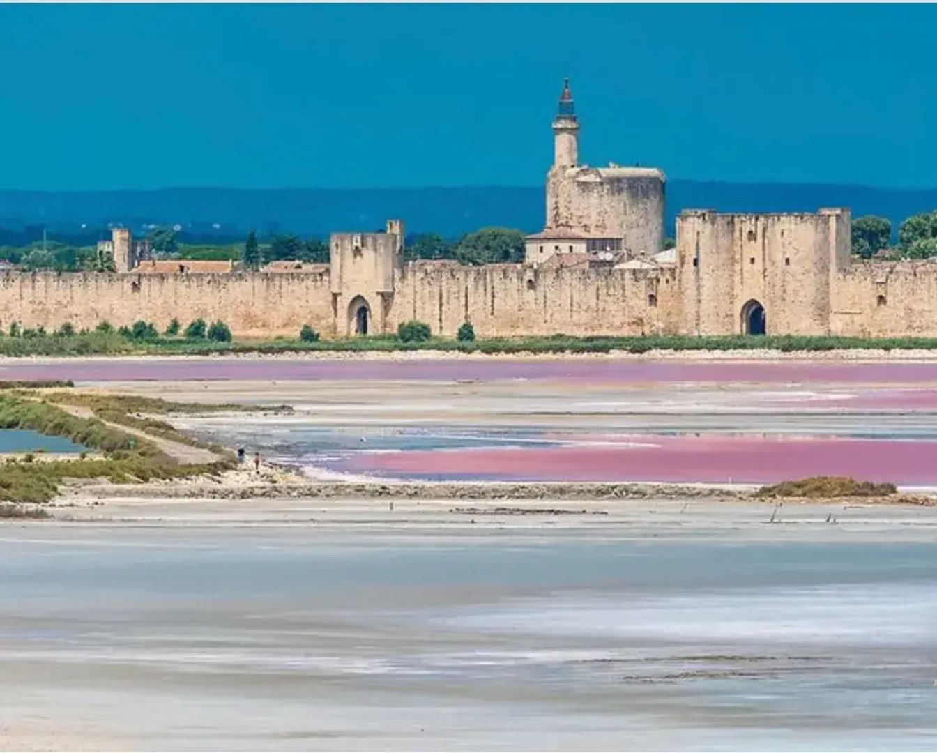 La Maison du Trident en Camargue Piscine et Jacuzzi