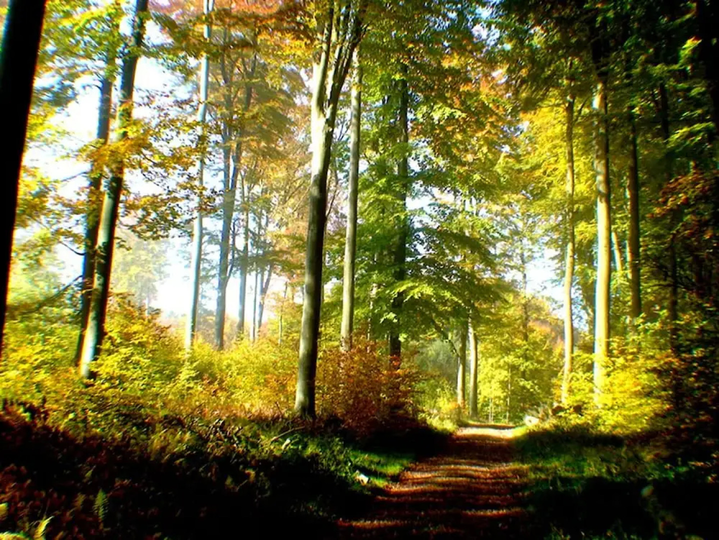 Ferienwohnungen im Seminarhaus Szenario
