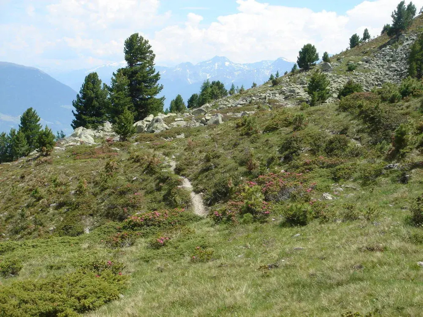 Lapis Monti - Apartments & Suites