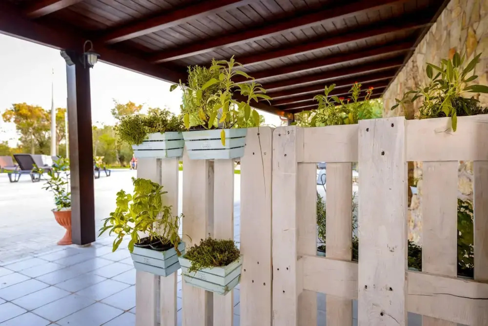 Trullo degli Augelli