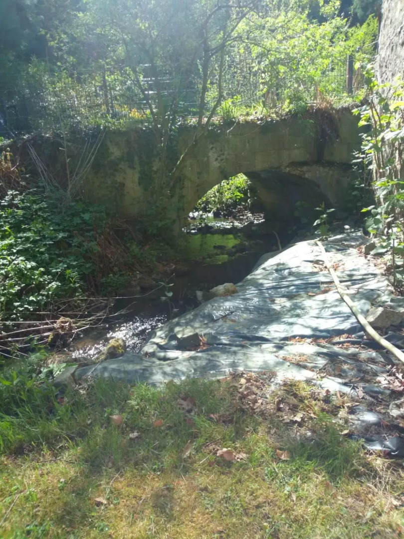 Pulvermühle - 3 Zimmer Bad direkt am Stettbach im NATURA 2000 Gebiet mit 12500 qm Garten, E- Bikes Verleih
